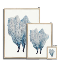 Sea Fan Watercolour Coral Painting | Coral Art | No 1 - Framed