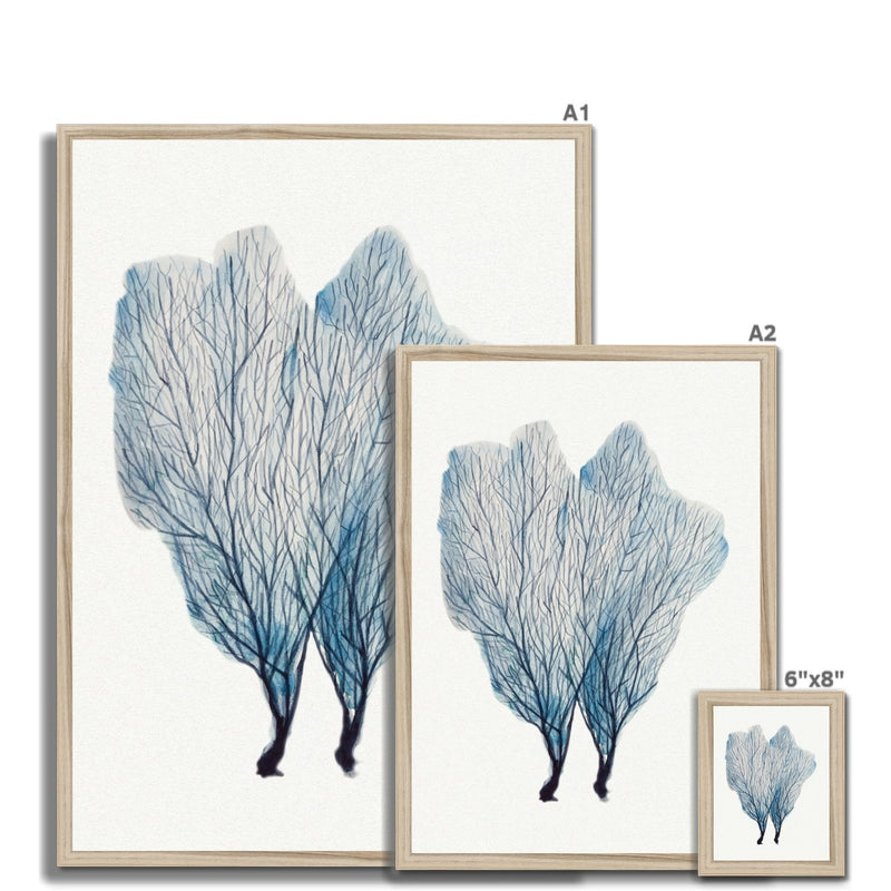 Sea Fan Watercolour Coral Painting | Coral Art | No 1 - Framed