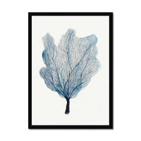 Sea Fan Watercolour Coral Painting | Coral Art | No 3 - Framed