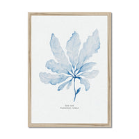 Blue Watercolour Seaweed Art Print | Sea Oak Seaweed Painting  - Framed