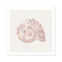 A framed art print of a dusty pink spiral shell on a white background.
