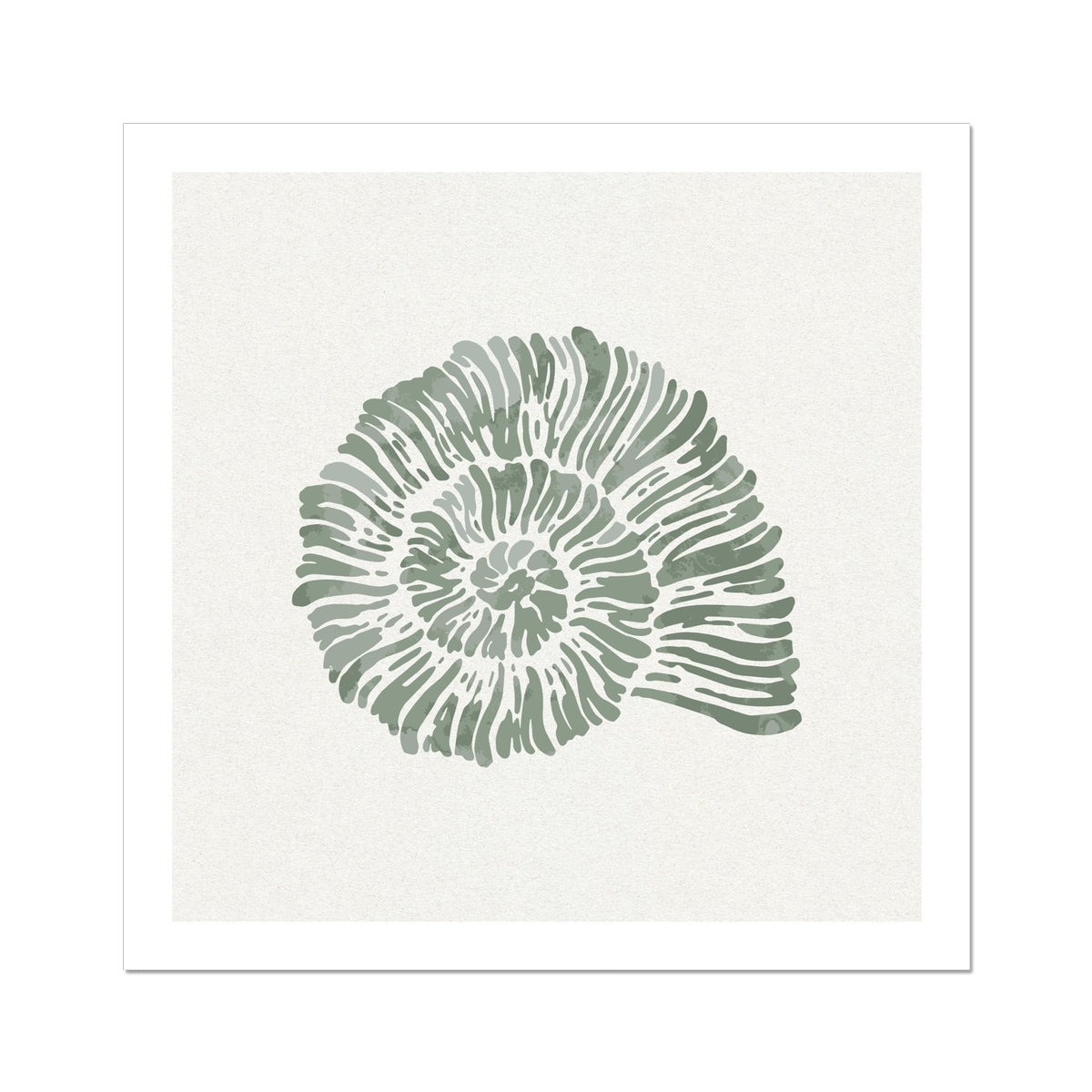 Sage Green Spiral Shell Art Print | Shell & Coral Art - Unframed