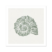 Sage Green Spiral Shell Art Print | Shell & Coral Art - Unframed