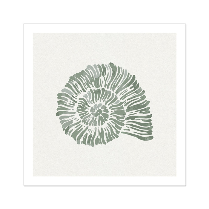 Sage Green Spiral Shell Art Print | Shell & Coral Art - Unframed