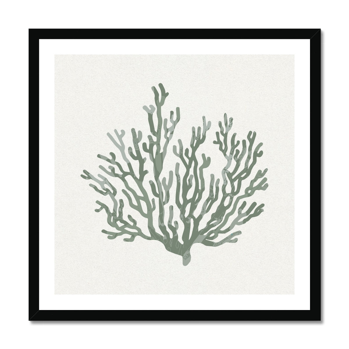 Sage Green Coral Art Print | Shell & Coral Art - Unframed