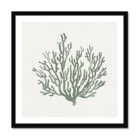Sage Green Coral Art Print | Shell & Coral Art - Unframed
