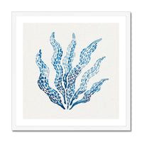Framed artwork of blue seaweed design on a white background