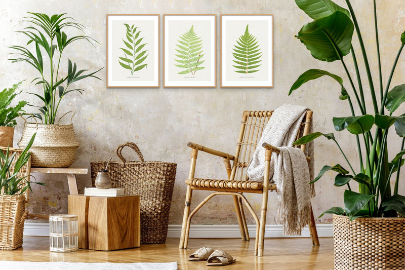 Bring Nature into Your Interior Decor Blog Link. Botanical Blog and framed fern print blog