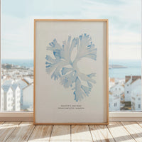 Set of Three Blue Seaweed Prints | Coastal Wall Art Set - Unframed