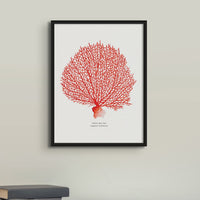 Set of 3 Red Coral Prints | Coral Paintings 1,2 and 3 - Unframed