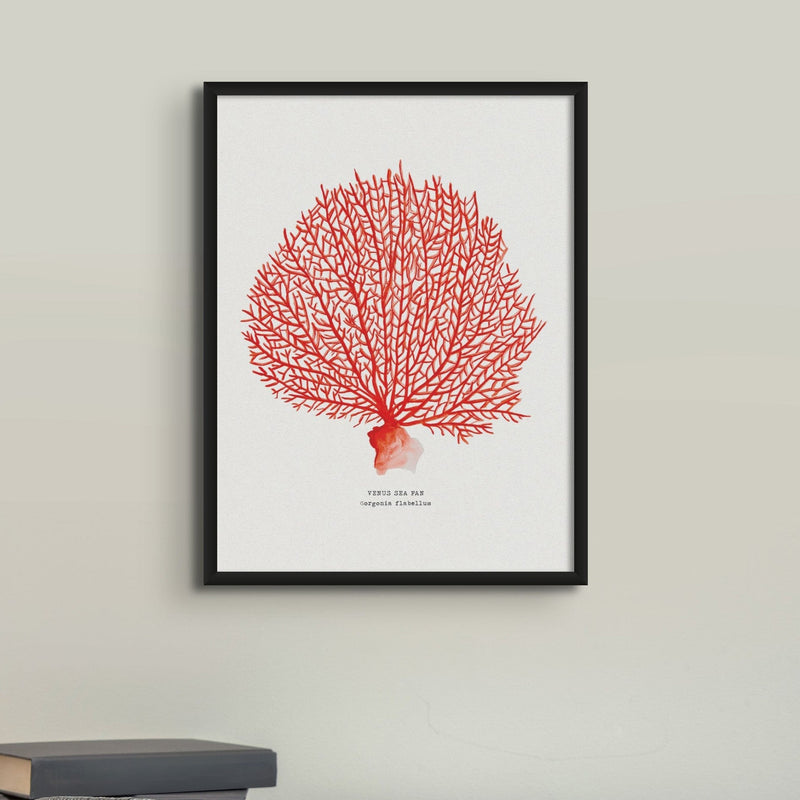 Set of 3 Red Coral Prints | Coral Paintings 1,2 and 3 - Unframed