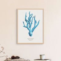 Set of three coral art prints - coral paintings as a set framed in natural frame above a bed. 