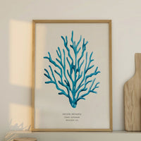 Coral Wall Art | Sea Blue Art Print | Specimen 7 - Unframed Beach House Art