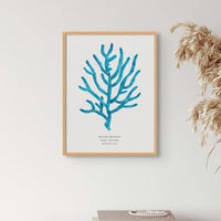 coral art print - original coral painting from beach house art. blue coral wall art