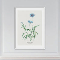 Set of Three Vintage Flower Prints - Framed - Beach House Art