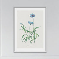 Set of Three Vintage Flower Prints - Unframed Vintage flower paintings