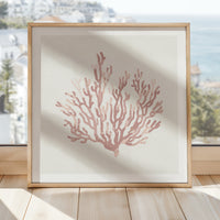 Coral art print - A framed art print featuring a dusty pink coral shell on a beige background on shelf