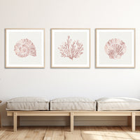 set of three scallop and shell art prints in pink colours on wall above bench