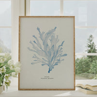 Set of Three Blue Seaweed Prints | Coastal Wall Art Set - Unframed