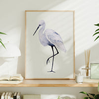 White Egret Stalking | Natural | Bird Art Print - Framed