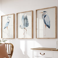 Set of Three Heron Bird Prints - Unframed Set Beach House Art - Vintage bird paintings