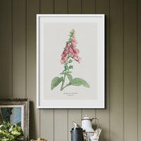 Set of Three Vintage Flower Prints - Framed - Beach House Art