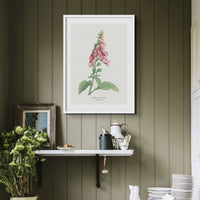 Set of Three Vintage Flower Prints - Unframed Vintage flower paintings