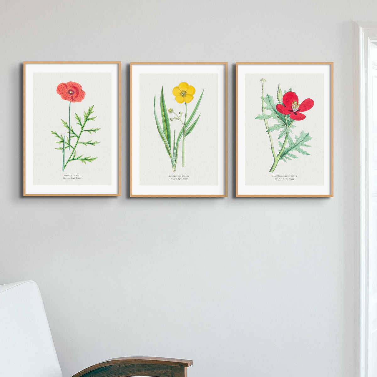 Set of Three Vintage Floral Prints | Poppy Flower Group | Botanical Wall Art - Framed