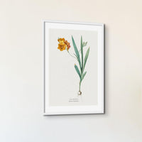 Set of Three Vintage Floral Prints | Spraxis Group | Botanical Wall Art - Unframed