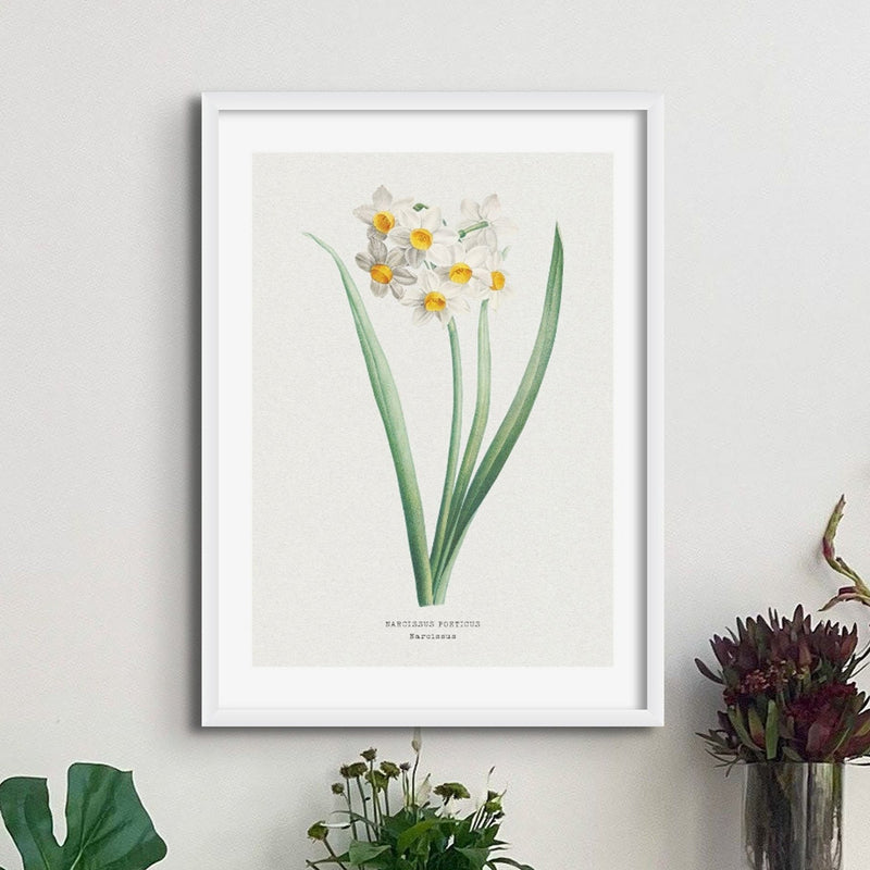 Set of Three Vintage Flower Prints - Framed - Beach House Art