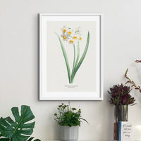 Set of Three Vintage Flower Prints - Unframed Vintage flower paintings