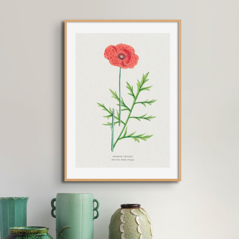 Set of Three Vintage Floral Prints | Poppy Flower Group | Botanical Wall Art - Framed