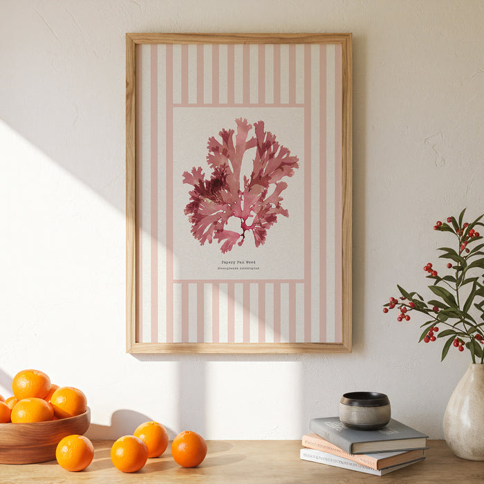 Seaweed Print | Pressed Seaweed Art on Stripe Background (Fan Weed No 1) - Framed