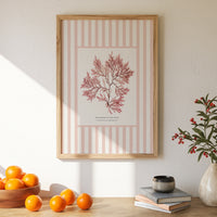 Seaweed Print | Pressed Seaweed Art on Stripe Background (Fernweed No 2) - Framed