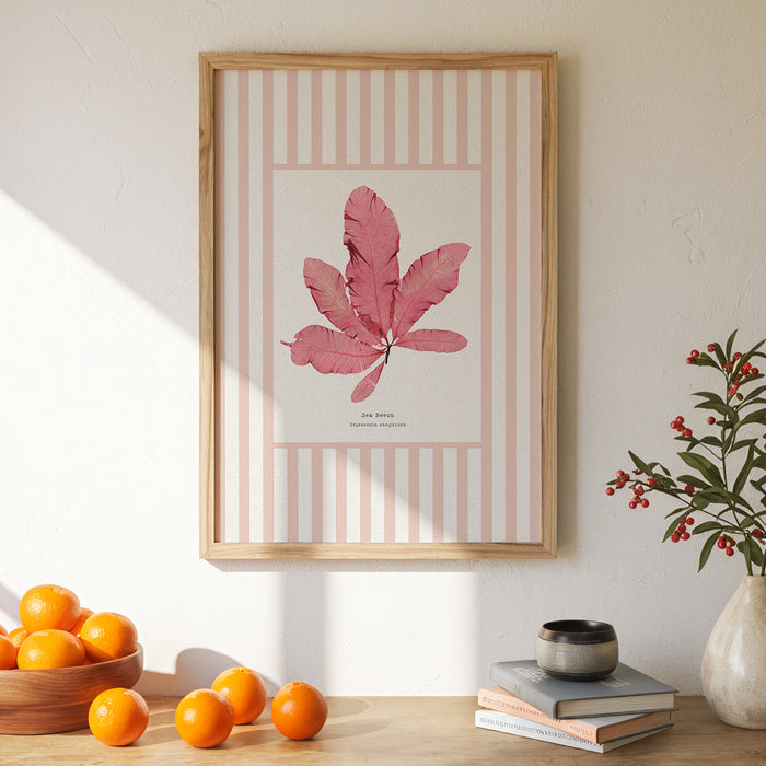 Seaweed Print | Pressed Seaweed Art on Stripe Background (Sea Beech) - Framed