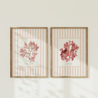 Two framed prints of pink seaweed on a beige striped background