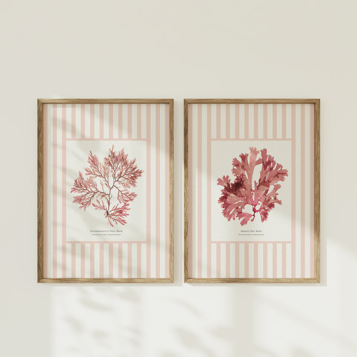 Two framed prints of pink seaweed on a beige striped background