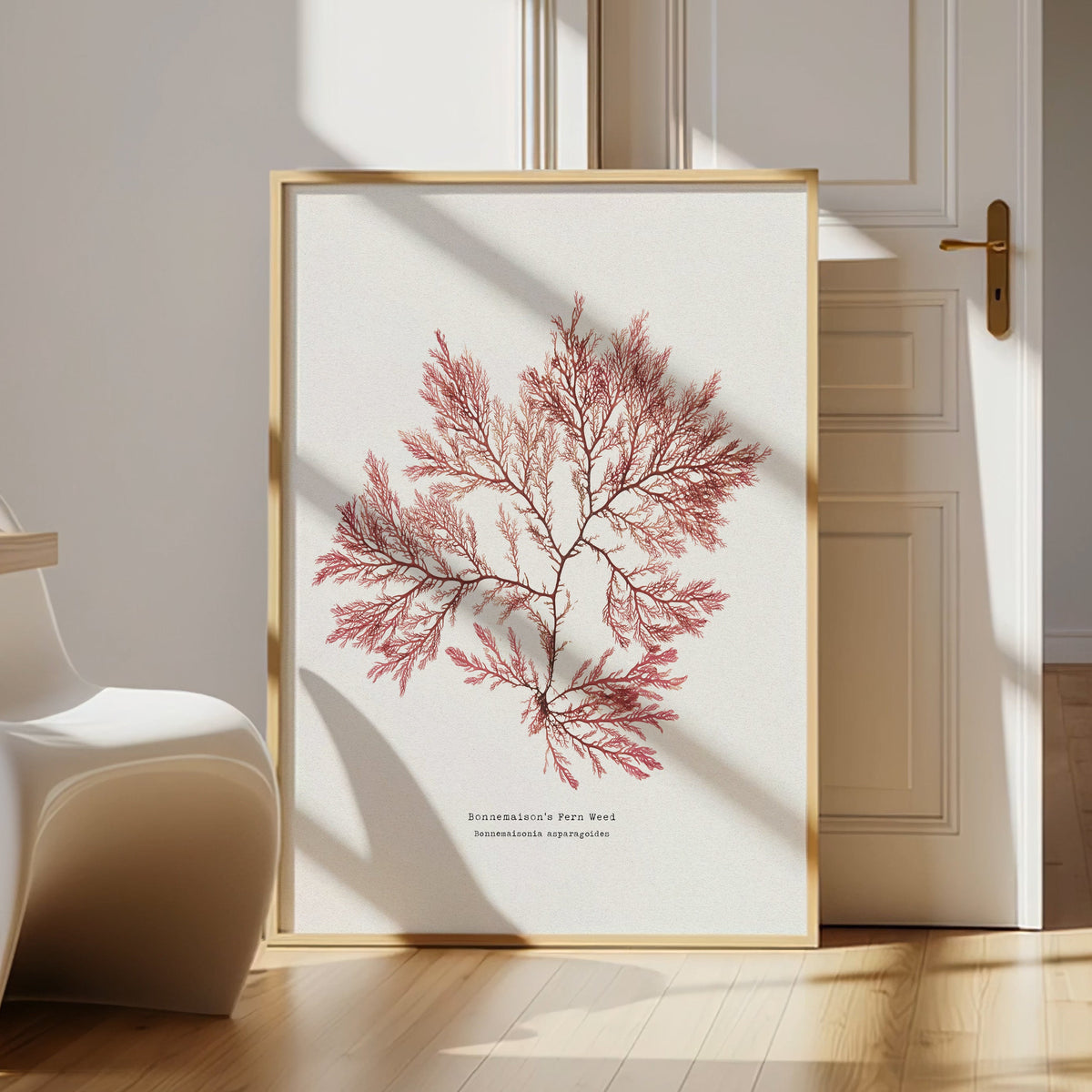 Framed artwork of a pressed seaweed print on a white wall in a modern room with a table and chair.