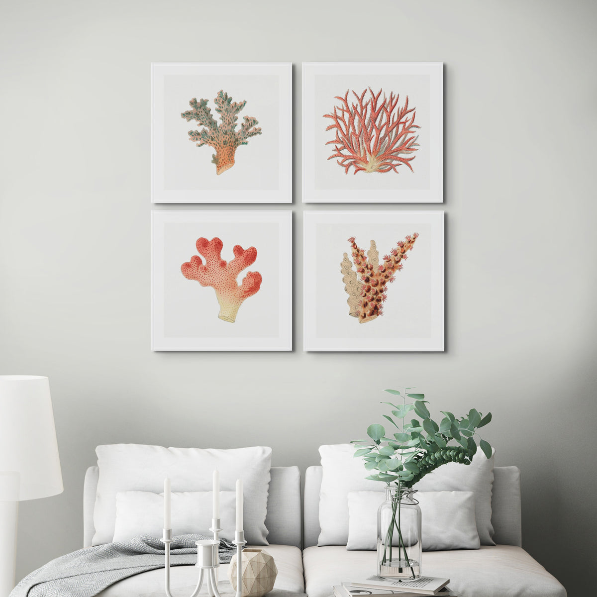 Reef Coral Print No 4 | Vintage Coral Art Print - Framed