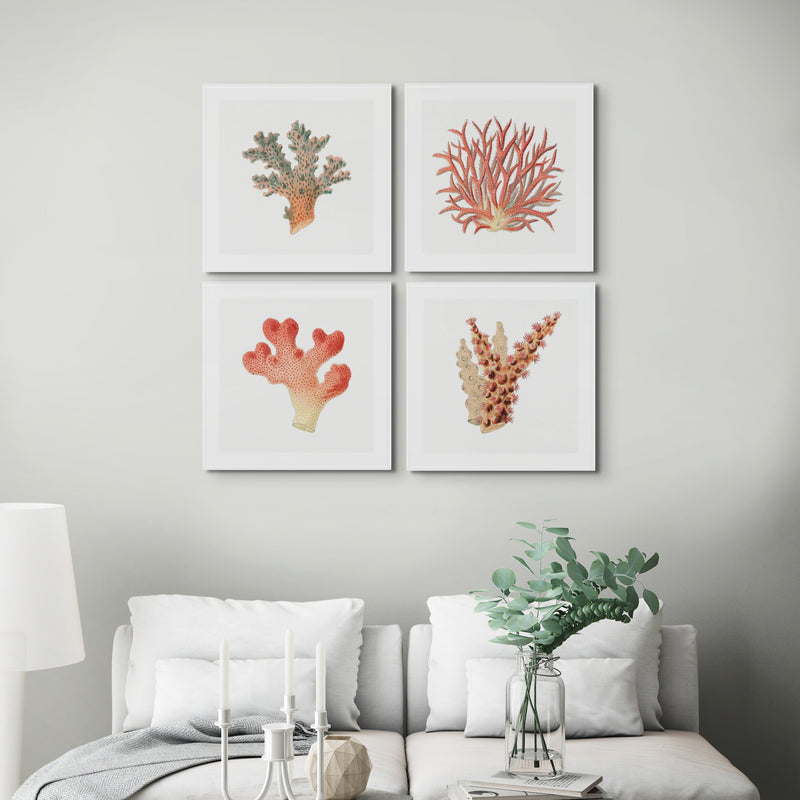 Reef Coral Print No 4 | Vintage Coral Art Print - Framed