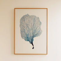 Set of Three Coral Art Prints | Set of coral paintings  - Unframed