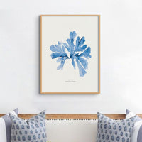 Indigo Seaweed Print Wall Art (Sea Oak) - Unframed