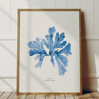 Indigo Seaweed Print Wall Art (Sea Oak) - Framed