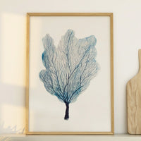 Sea Fan Watercolour Coral Painting | Coral Art |  No 3 - Unframed