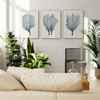 Sea Fan Watercolour Coral Painting | Coral Art |  No 3 - Unframed