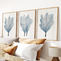 Sea Fan Watercolour Coral Painting | Coral Art |  No 3 - Unframed