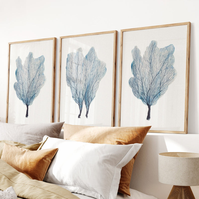 Sea Fan Watercolour Coral Painting | Coral Art |  No 3 - Unframed