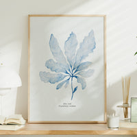 Blue Watercolour Seaweed Art Print | Sea Oak Seaweed Painting  - Unframed