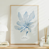 Set of Three Blue Seaweed Prints | Coastal Wall Art Set - Unframed