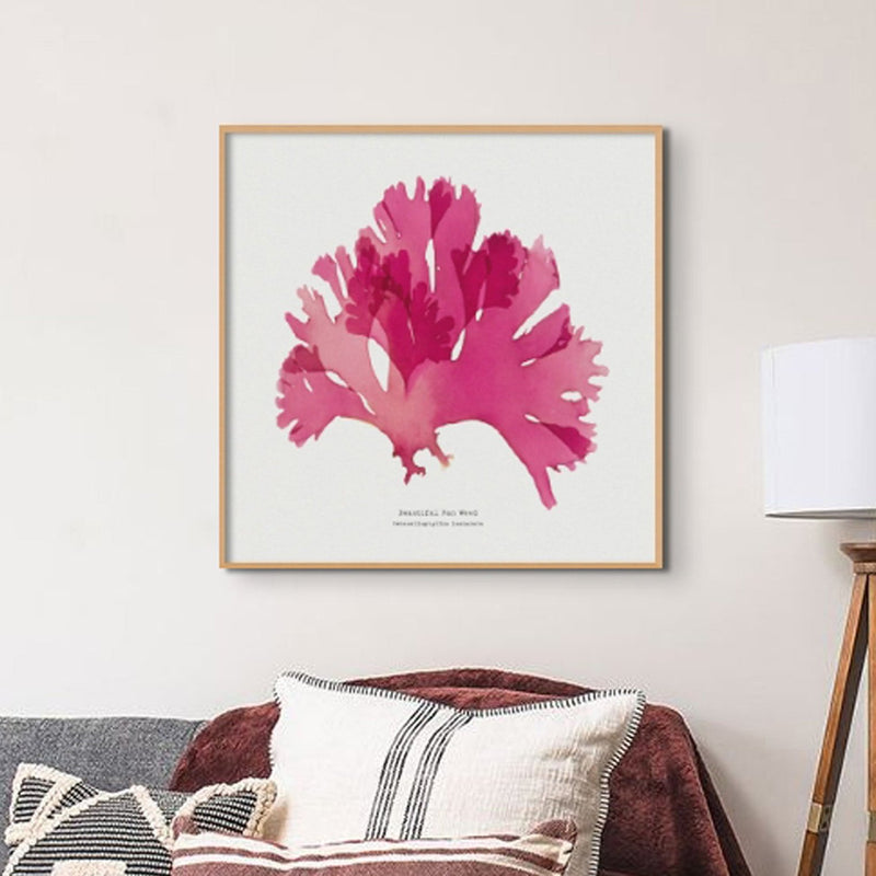 Set of Three Red Seaweed Art Prints Square - Framed Beach House Art